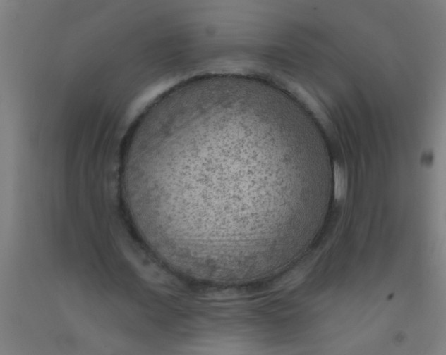 X0000092030675200709271610