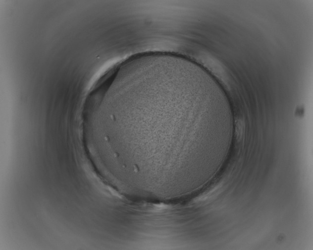 X0000092030676200709271610