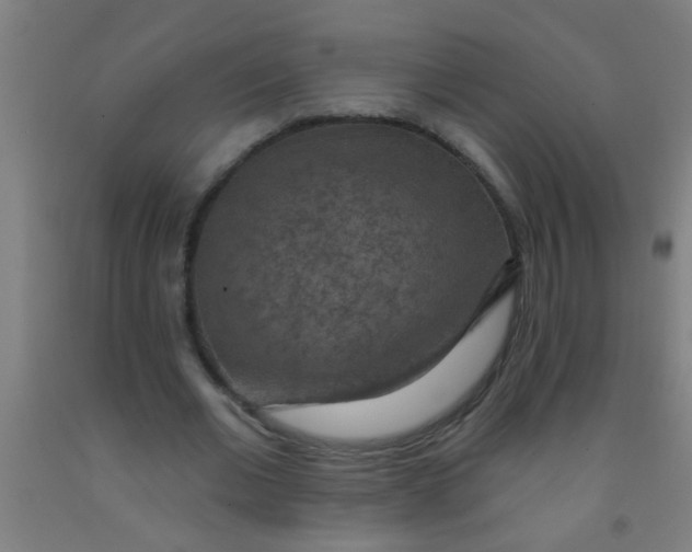 X0000092030677200709271610