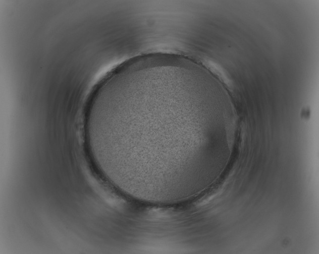 X0000092030680200709271609