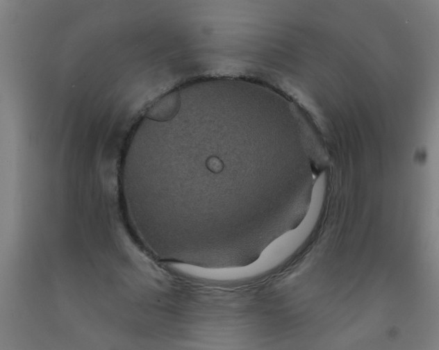 X0000092030681200709271609