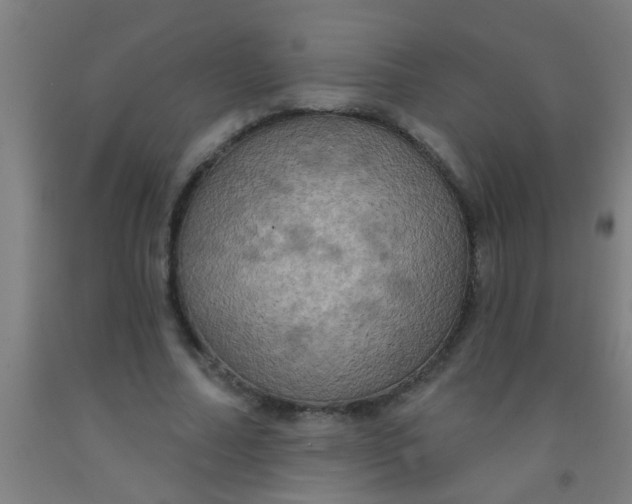 X0000092030682200709271609