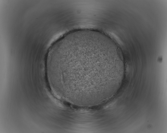 X0000092030684200709271609