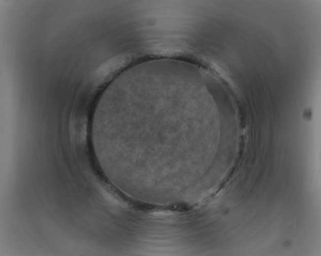 X0000092030685200709271609