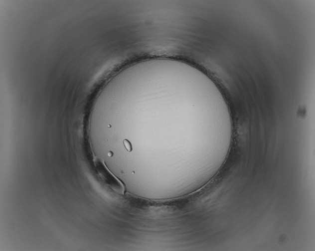 X0000092030686200709271609