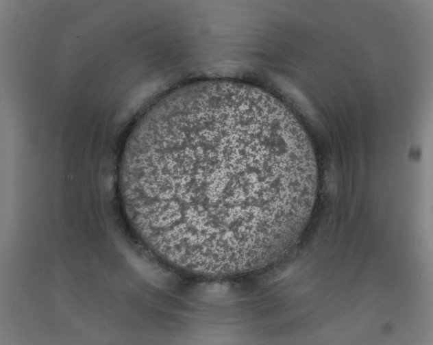 X0000092030687200709271609