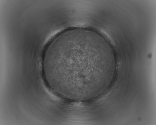 X0000092030688200709271609