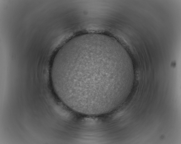 X0000092030690200709271609