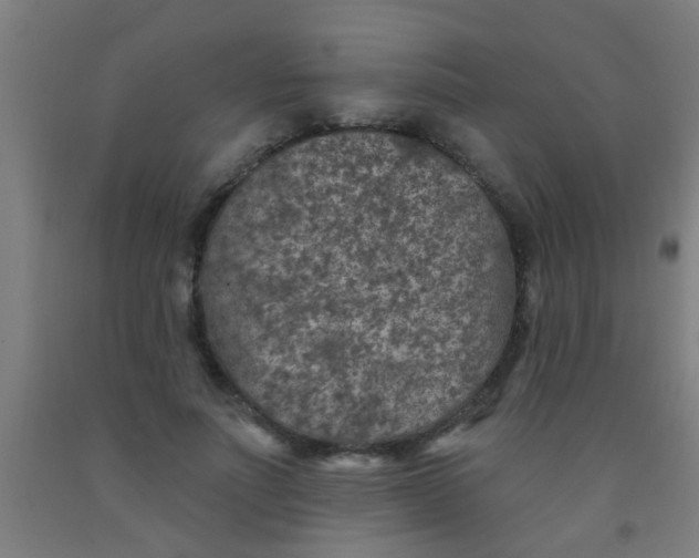 X0000092030691200709271609