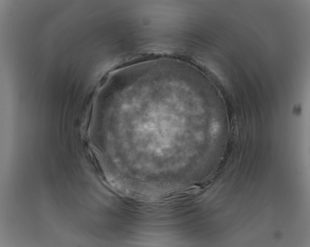 X0000092030692200709271609