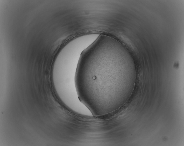 X0000092030693200709271609