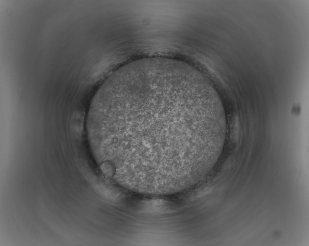 X0000092030695200709271609