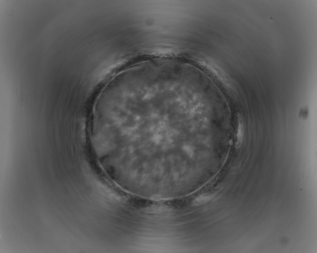 X0000092030696200709271609