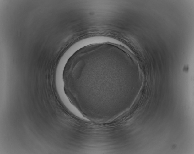 X0000092030697200709271609