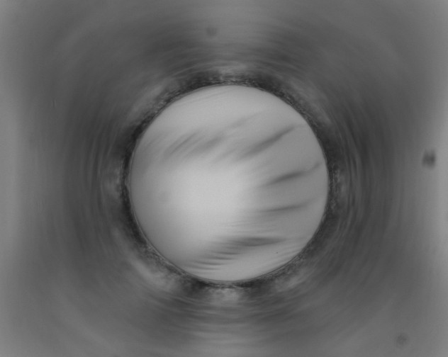 X0000092030698200709271609