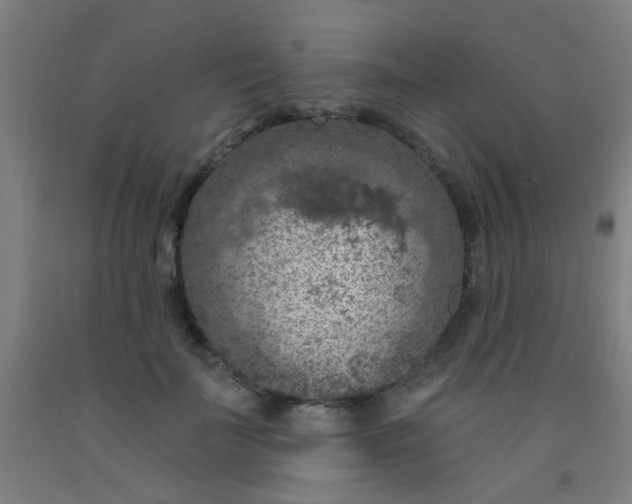 X0000092030699200709271609