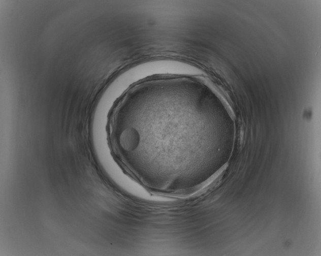 X0000092030700200709271609