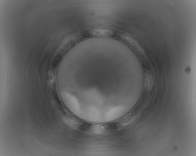 X0000092030701200709271609