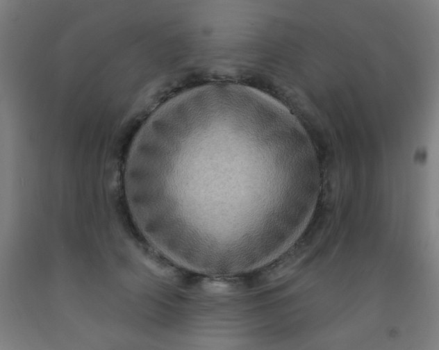 X0000092030706200709271609