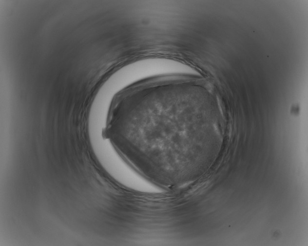 X0000092030708200709271609