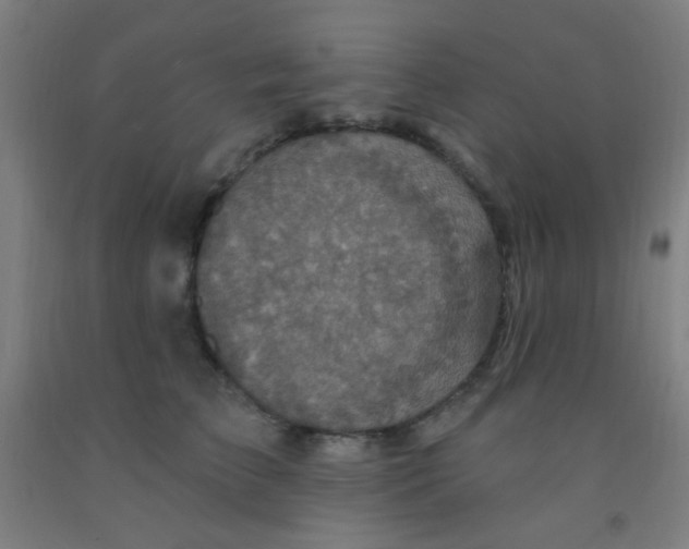 X0000092030709200709271609