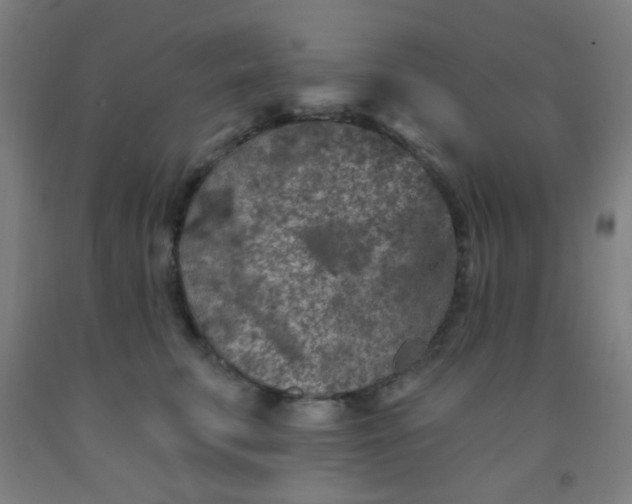 X0000092030711200709271609