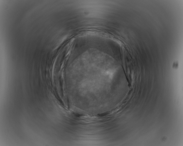 X0000092030712200709271609