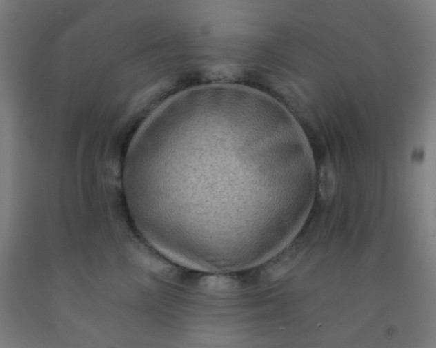 X0000092030714200709271609