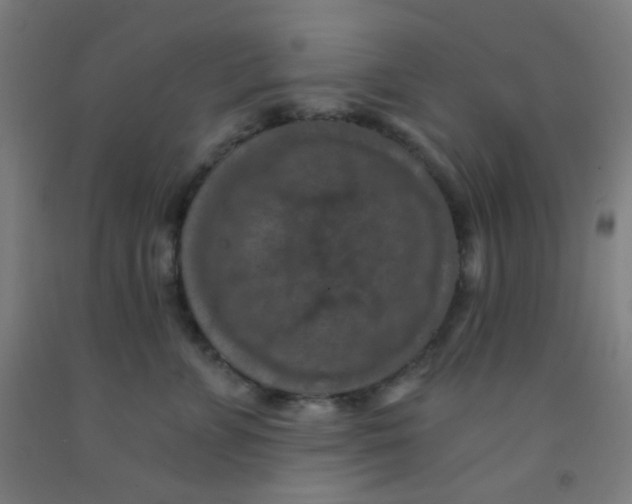 X0000092030715200709271609