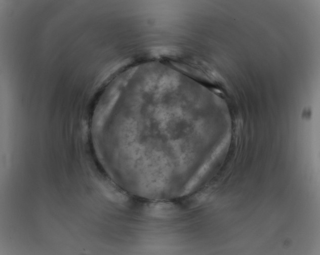 X0000092030716200709271609