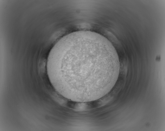 X0000092030717200709271609