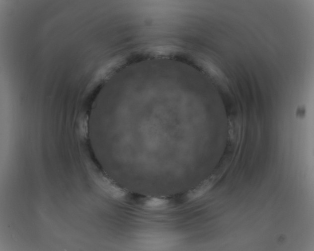 X0000092030718200709271609