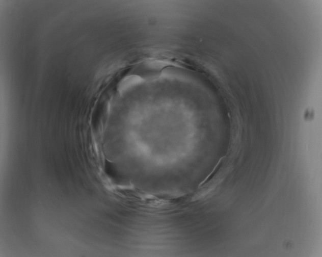 X0000092030720200709271609