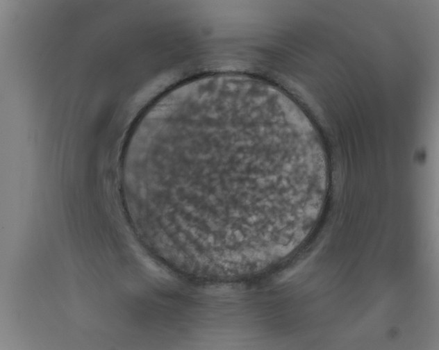 X0000092030721200709271608