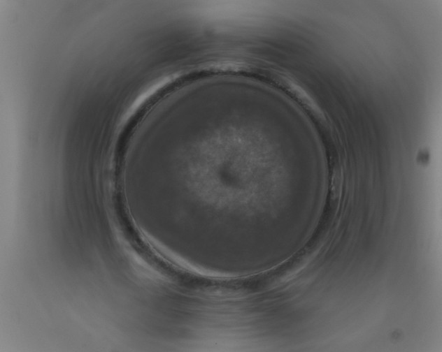 X0000092030722200709271608