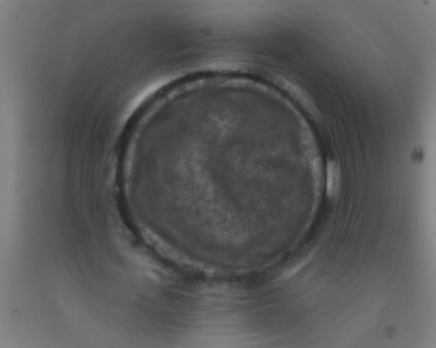 X0000092030723200709271608