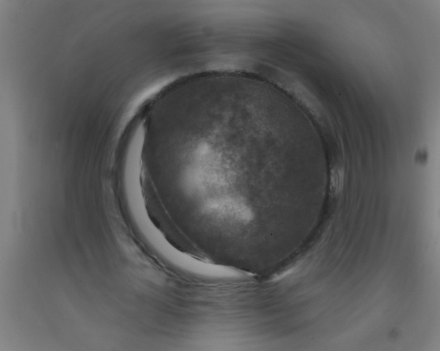 X0000092030724200709271608