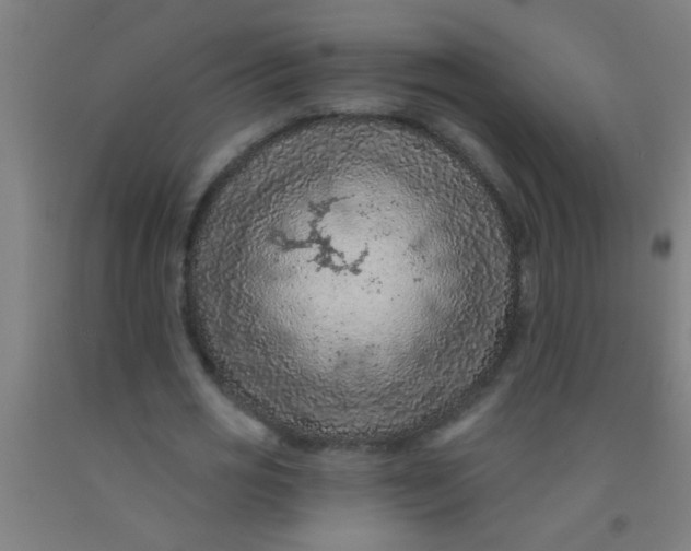 X0000092030725200709271608