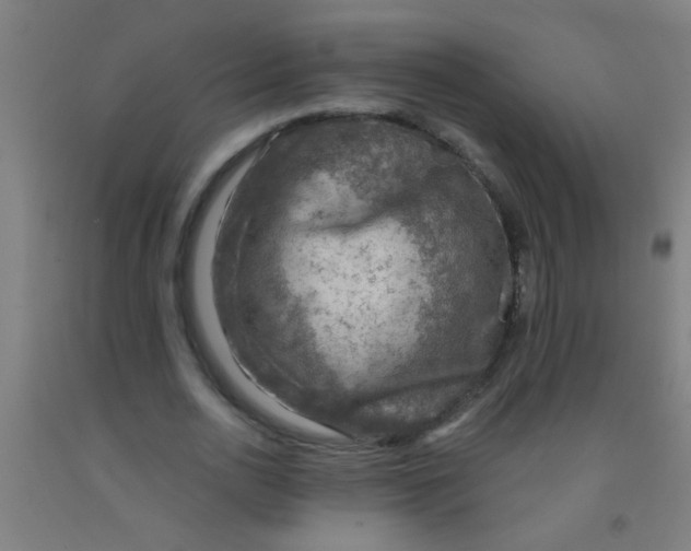 X0000092030726200709271608