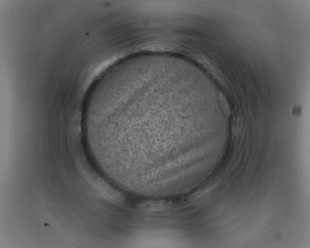 X0000092030727200709271608