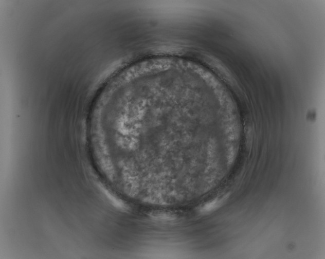 X0000092030729200709271608