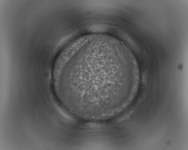 X0000092030733200709271609