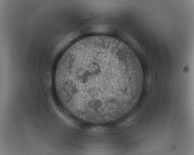 X0000092030734200709271609