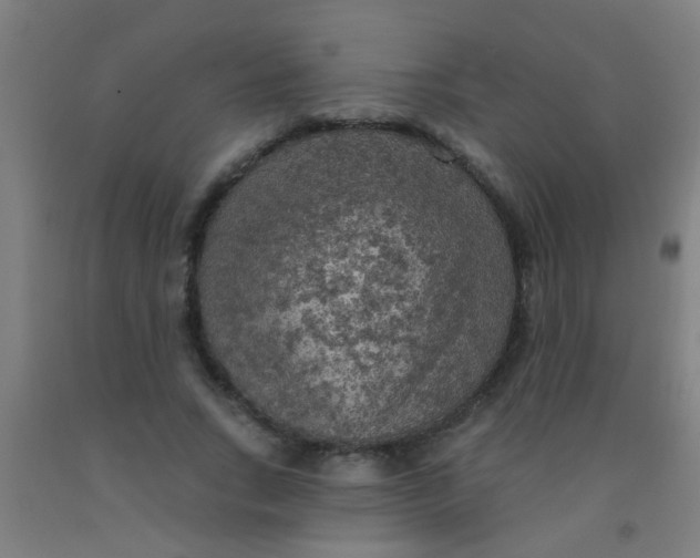 X0000092030735200709271609