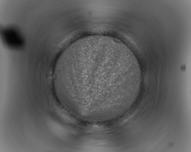 X0000092030737200709271609