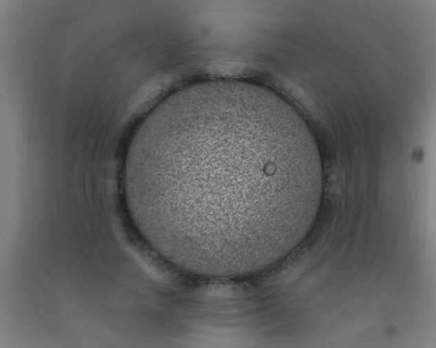 X0000092030738200709271609