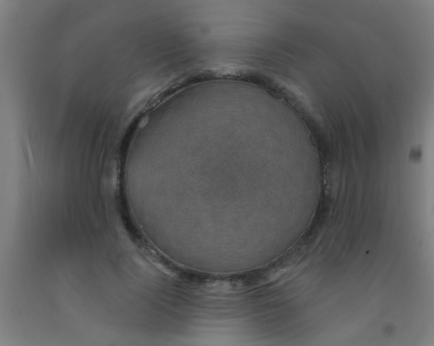 X0000092030740200709271609