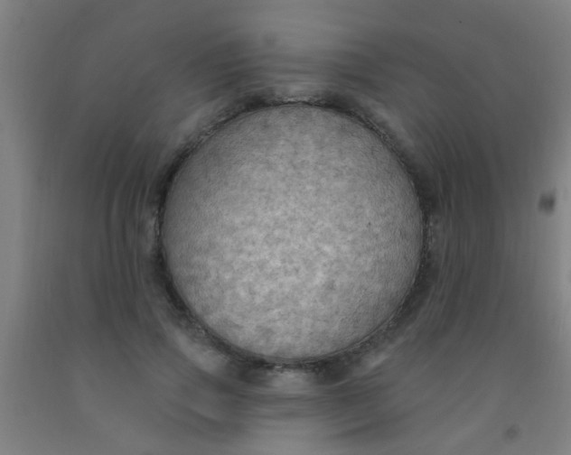 X0000092030741200709271609