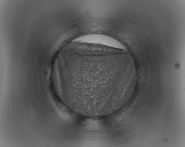 X0000092030742200709271609