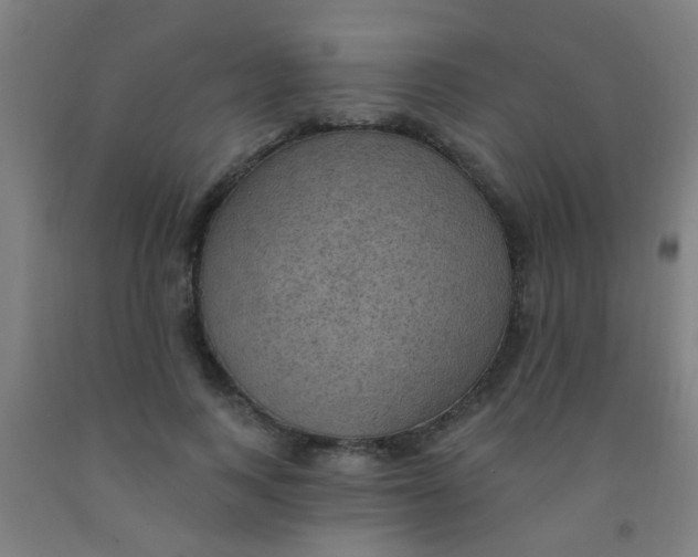 X0000092030743200709271609